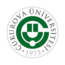 جامعة تشوكوروفا